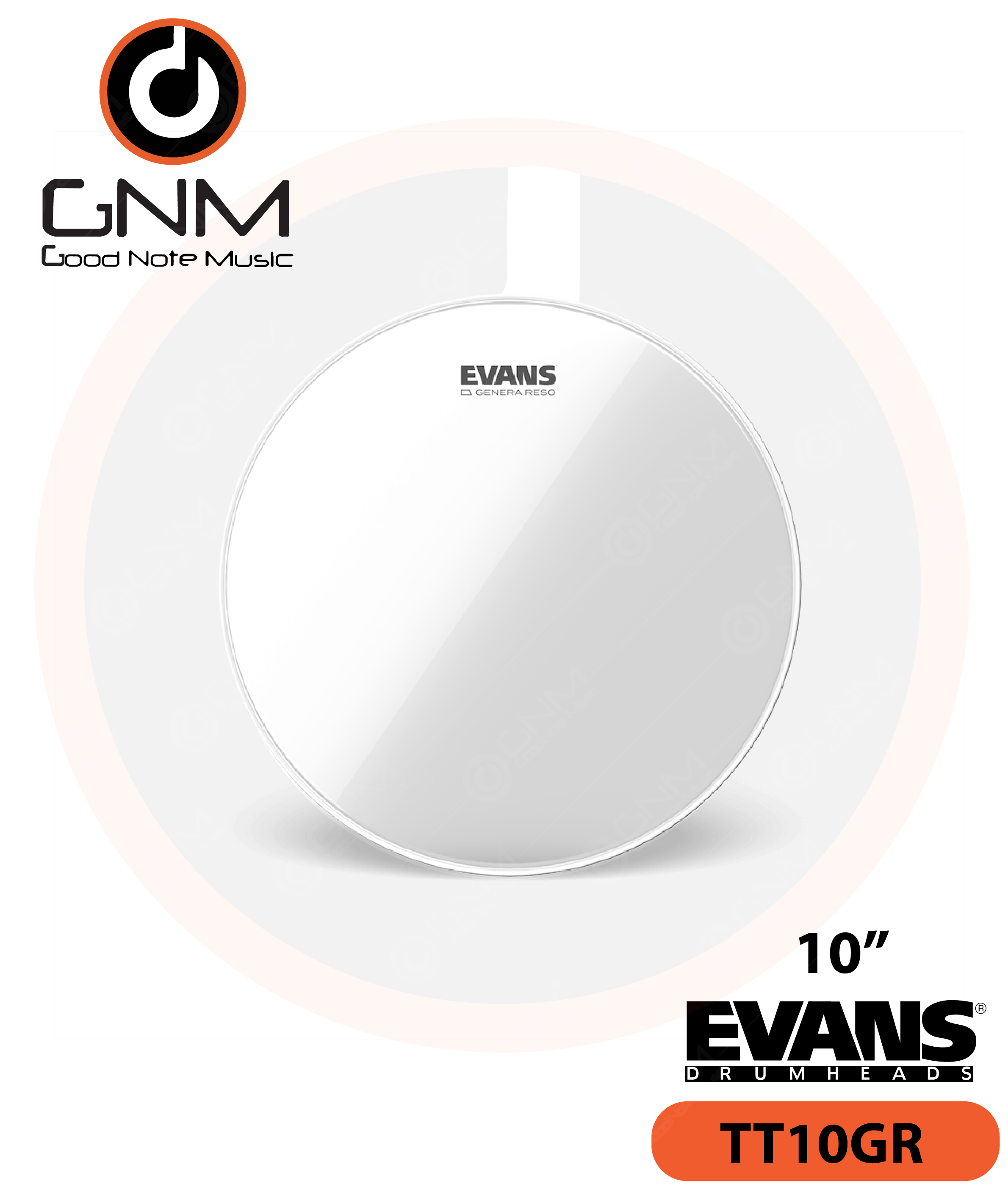 หนังกลอง EVANS TT10GR Tom (ล่าง)